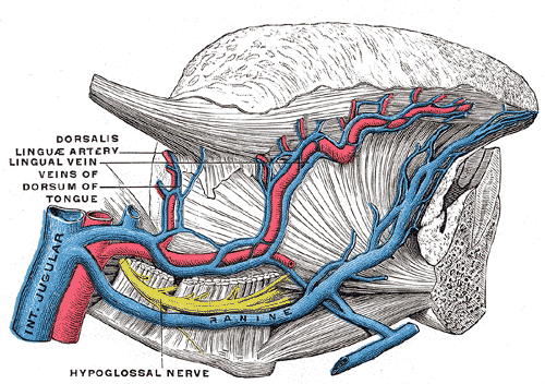 Fig. 559