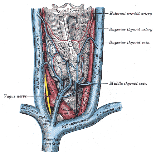 Fig. 560