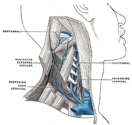 Fig. 563