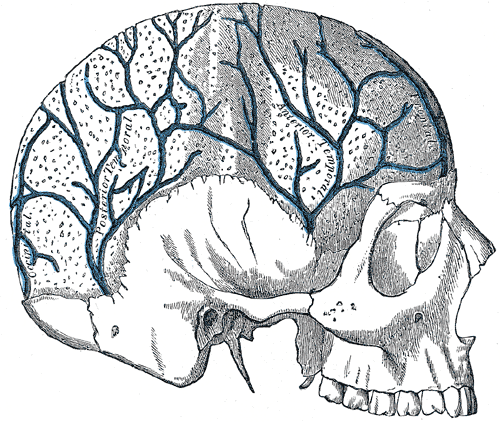 Fig. 564