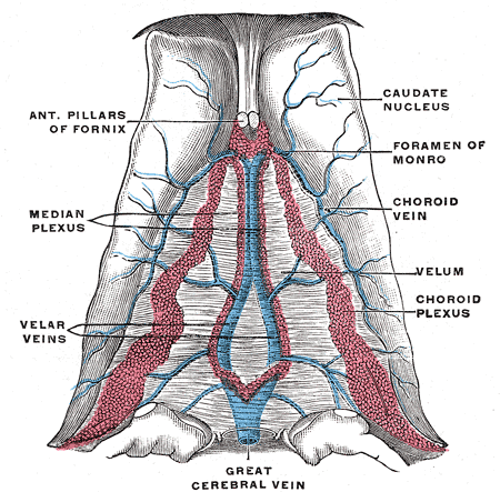 Fig. 565
