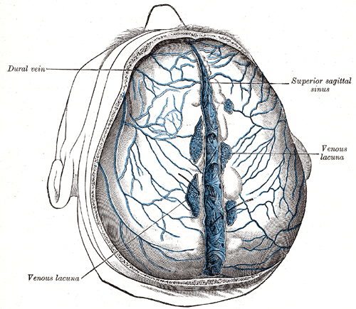 Fig. 566