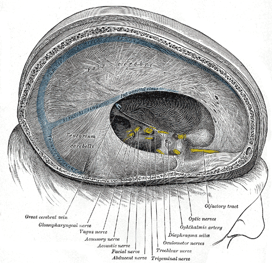 Fig. 567