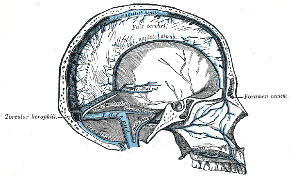 Fig. 568