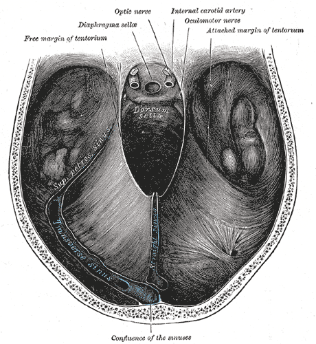Fig. 569