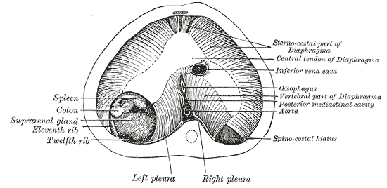 Fig. 57