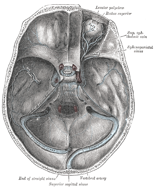 Fig. 570