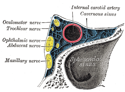 Fig. 571