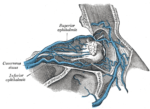 Fig. 572
