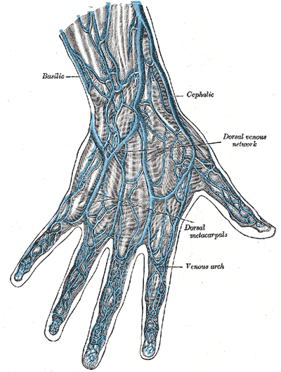 Fig. 573