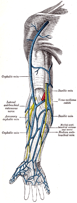 Fig. 574