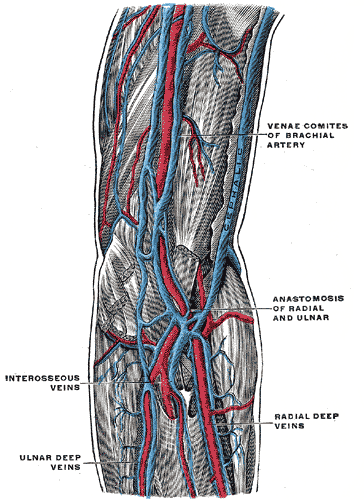 Fig. 575