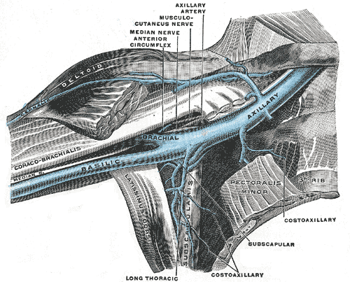 Fig. 576