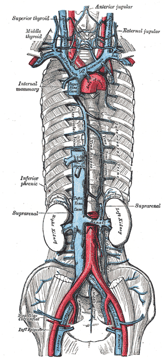 Fig. 577