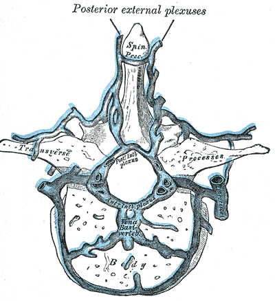 Fig. 578