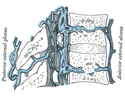 Fig. 579
