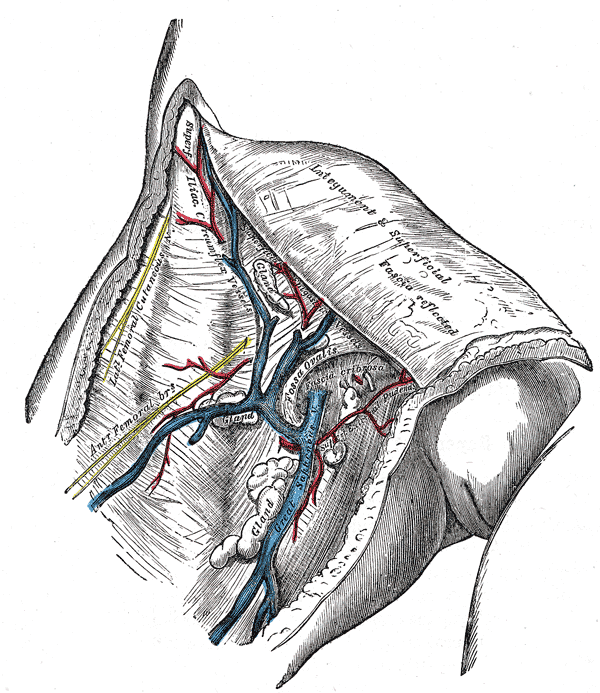 Fig. 580