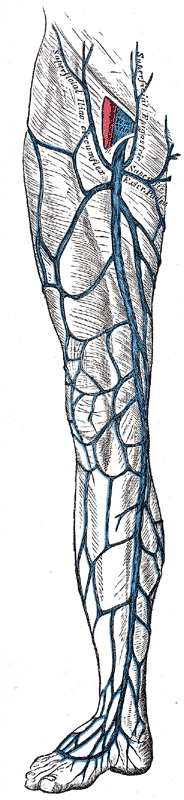 Fig. 581