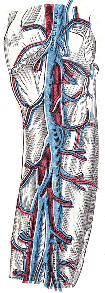 Fig. 583