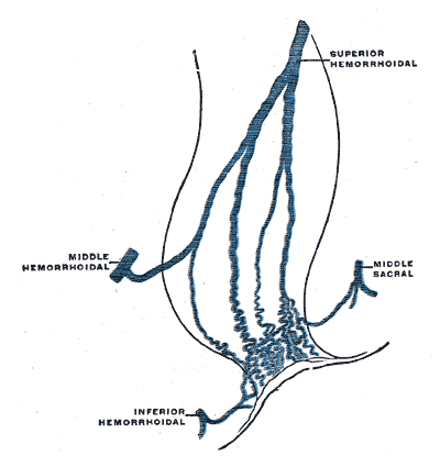 Fig. 587