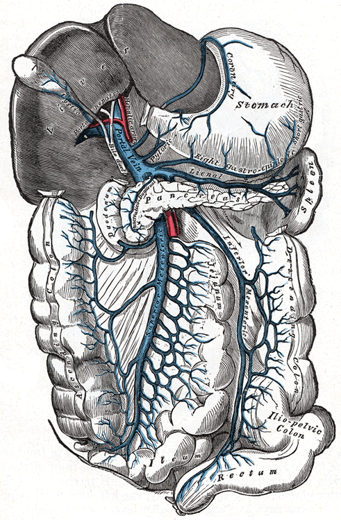 Fig. 591