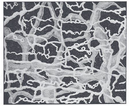 Fig. 595
