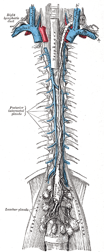Fig. 599