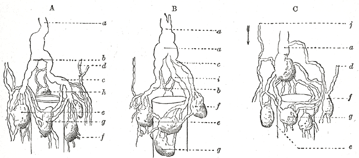 Fig. 600