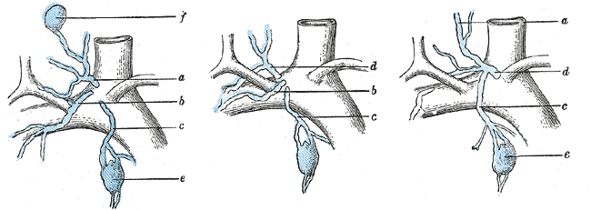 Fig. 601