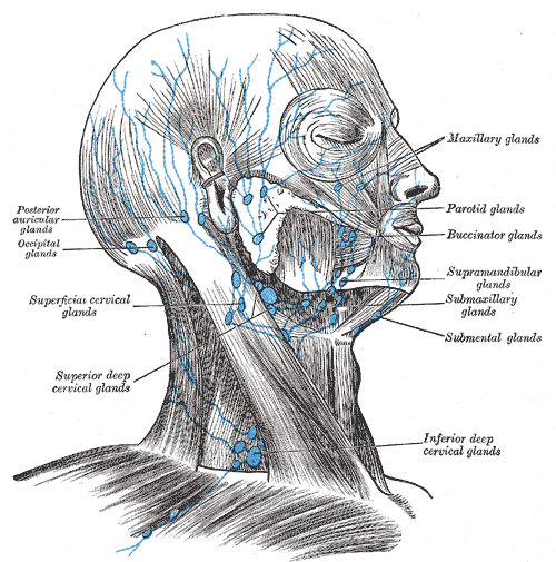Fig. 602