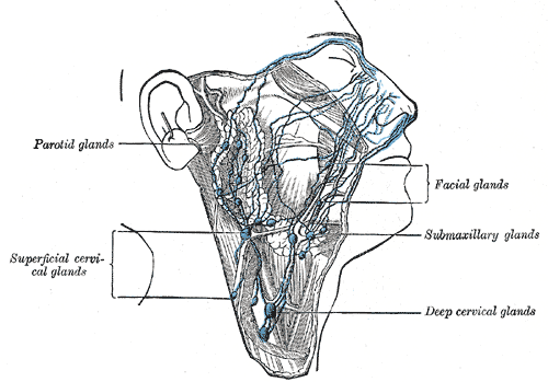 Fig. 604