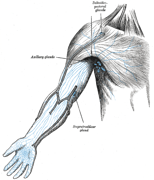 Fig. 606