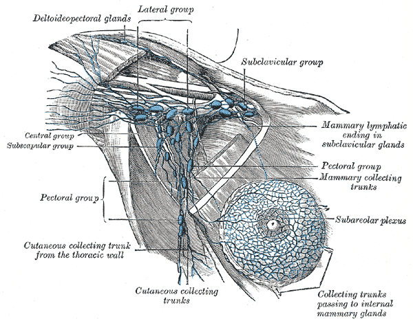 Fig. 607