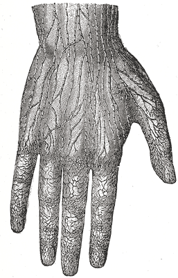 Fig. 608