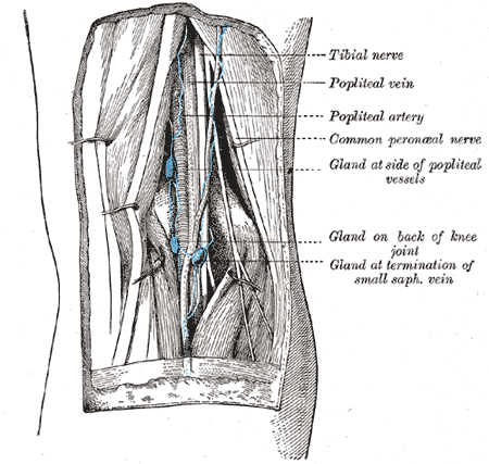 Fig. 609
