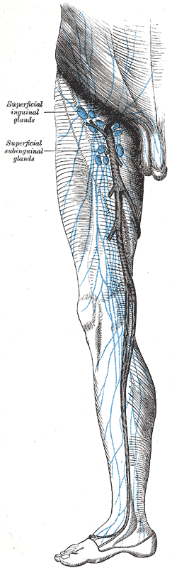 Fig. 610