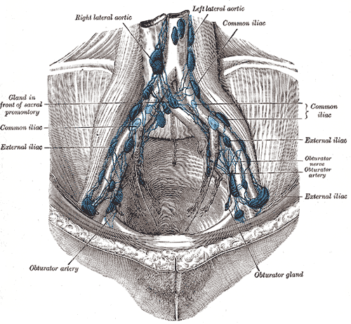 Fig. 611
