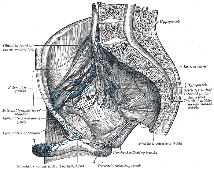 Fig. 612