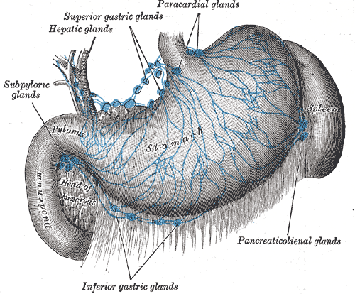 Fig. 613