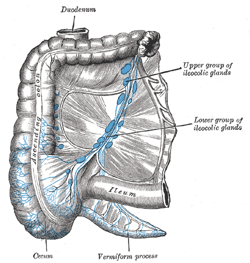 Fig. 615