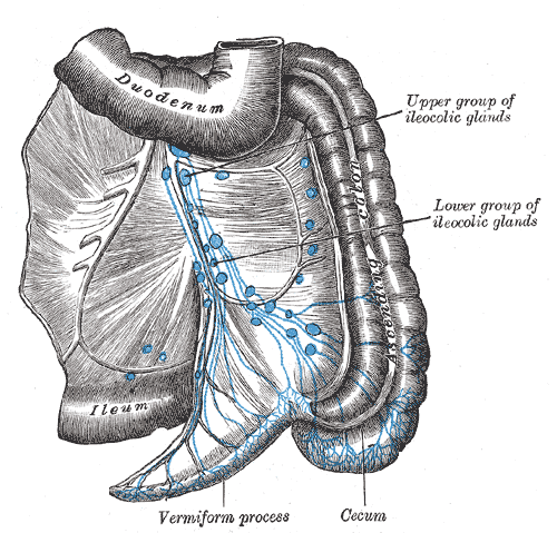 Fig. 616