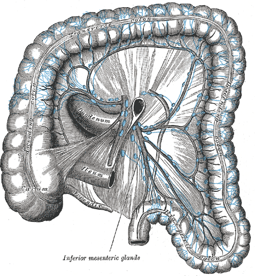 Fig. 617