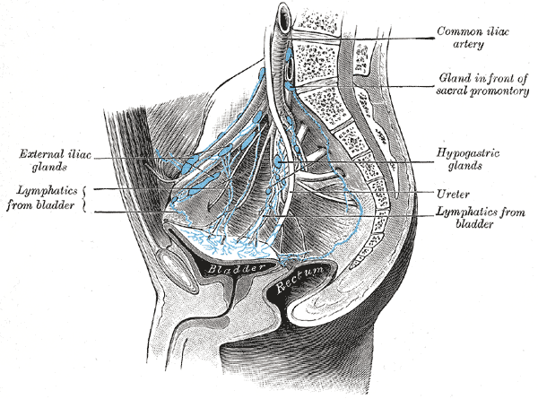 Fig. 618