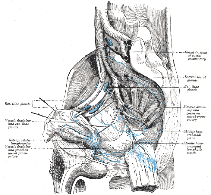 Fig. 619
