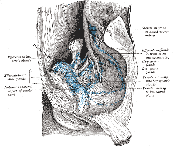 Fig. 620