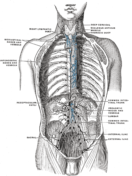 Fig. 621