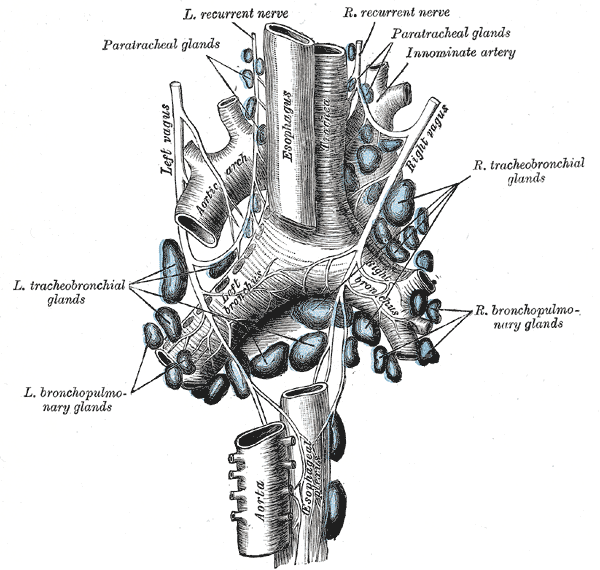Fig. 622