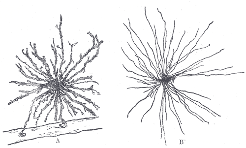 Fig. 623
