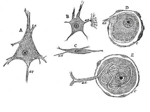 Fig. 624