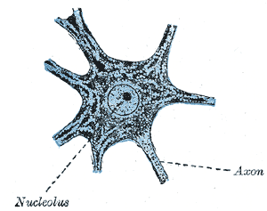 Fig. 626